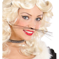 Čierne mačacie fúzy